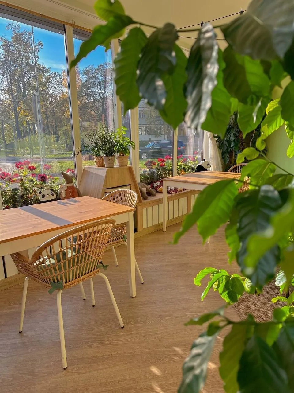 Saulaina kafejnīcas zāle ar lieliem logiem, koka galdiem, rotangpalmas krēsliem un augiem